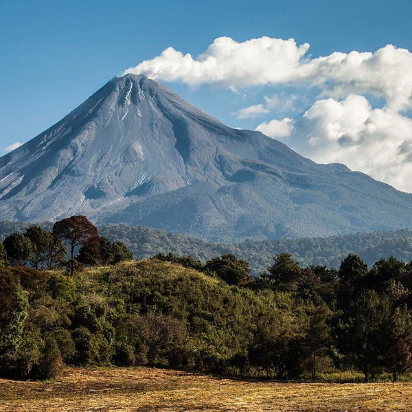 Volcanes: Guardianes de Fuego - Majestic Colima volcano amidst lush greenery.